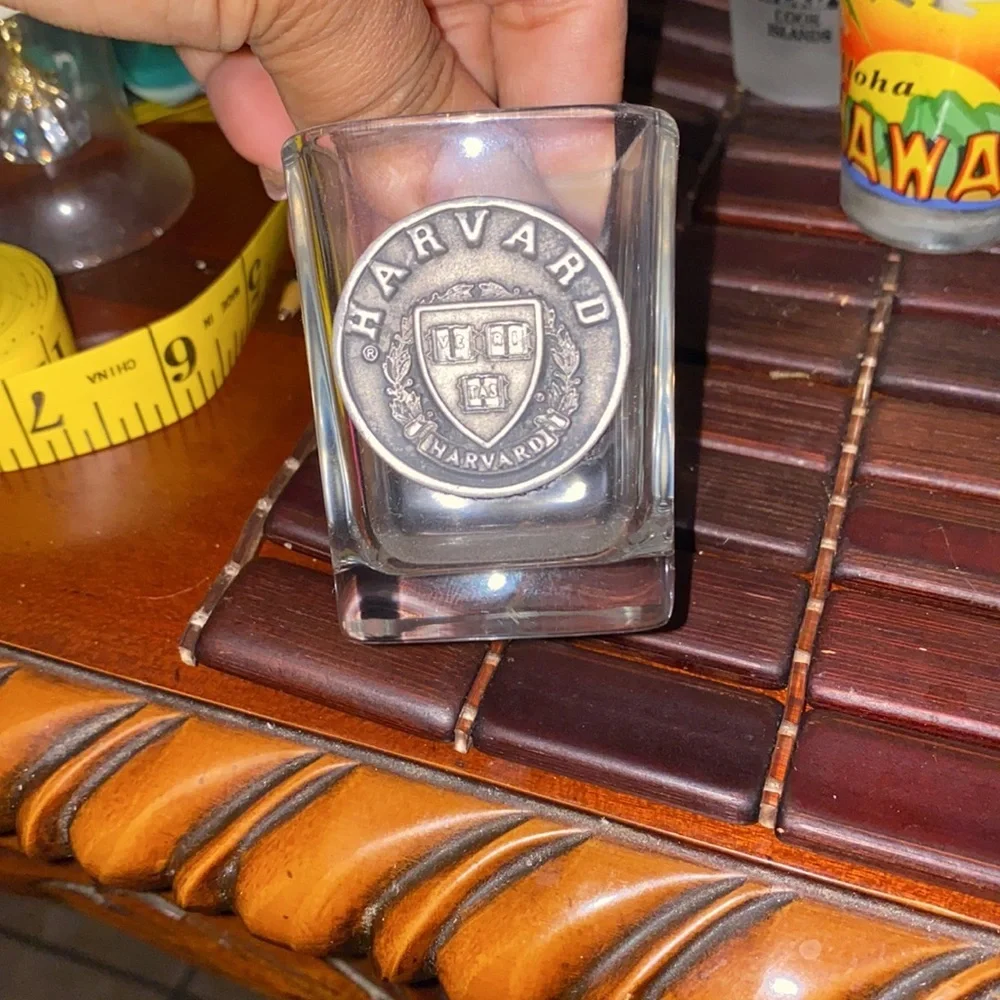 Set of 31 shot glass from different states and countries
